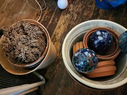 Photo of free Plants and supplies (Uptown Kingston) #4