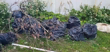 Photo of free Returnable Bottles and Cans (North babylon NY) #1