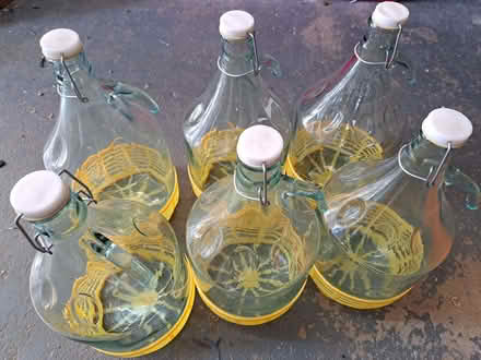 Photo of free Demijohns/Carboys 5 Litre x 6 (Beeley DE4) #1