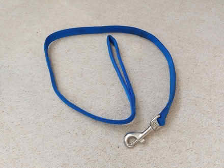 Photo of free Dog lead (Bungay NR35) #1