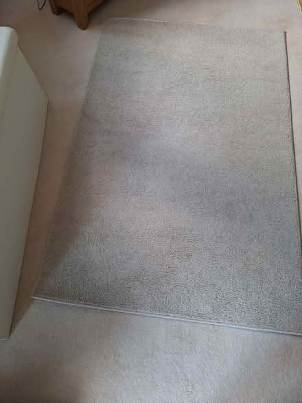 Photo of free Rug (Monkseaton NE25) #1