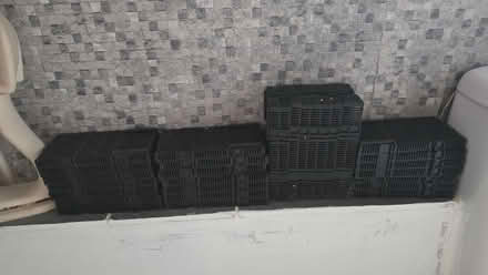 Photo of free 30 fishtank filters (West Croydon CR0) #1