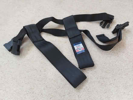 Photo of free Dog car harness (Bungay NR35) #1