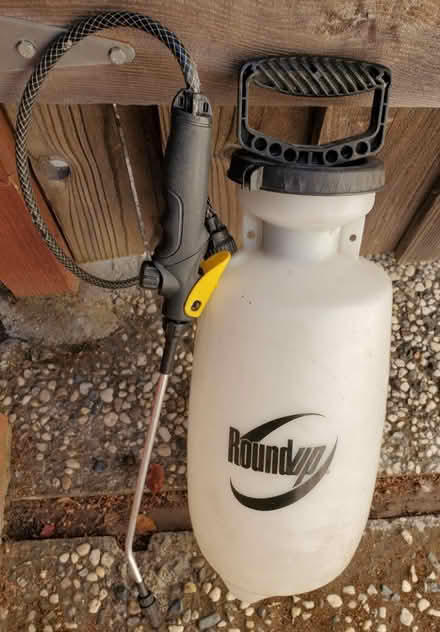 Photo of free 2 gal pump sprayer (Cupertino) #1