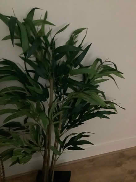 Photo of free Damaged faux bamboo plant/tree (Rochford SS4) #1