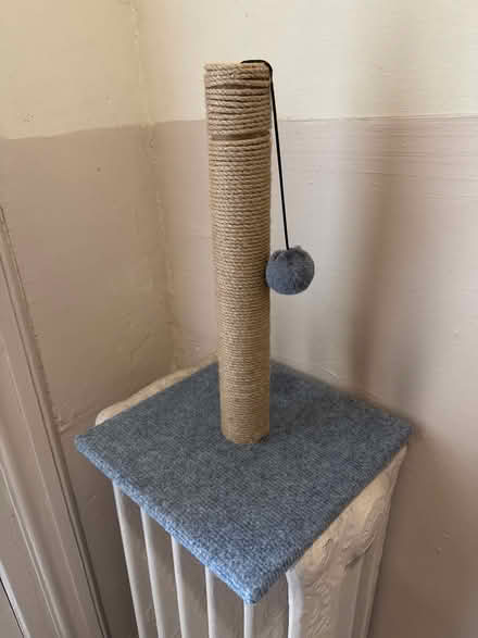 Photo of free Cat tree post (Cliffside Park) #1