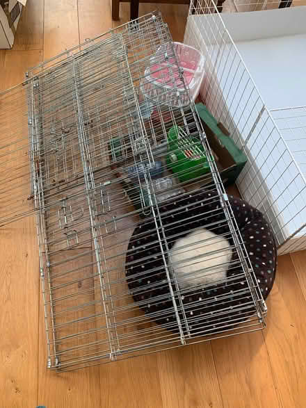 Photo of free Guinea Pig / Small Pet Items (Moorfields) #3
