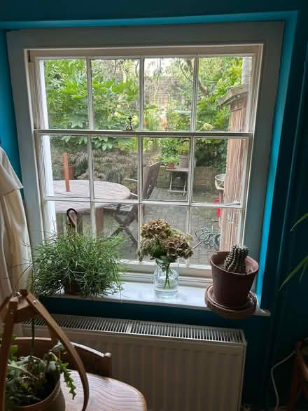 Photo of free Windows and door (St Leonards TN38) #4