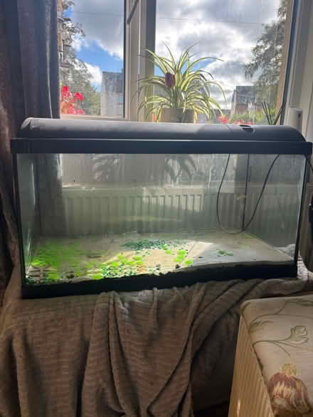 Photo of free Large glass fish tank not water tight (Penrith CA11) #2