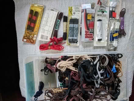 Photo of free shoelaces 16' to 50" (Ann Arbor near Hillside Terr.) #1