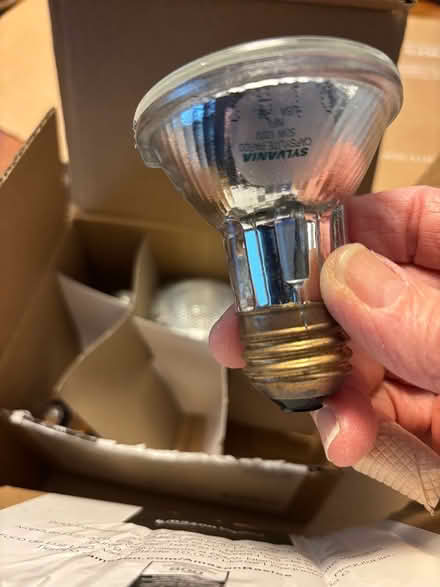 Photo of free Working Halogen Bulbs (Andersonville) #1