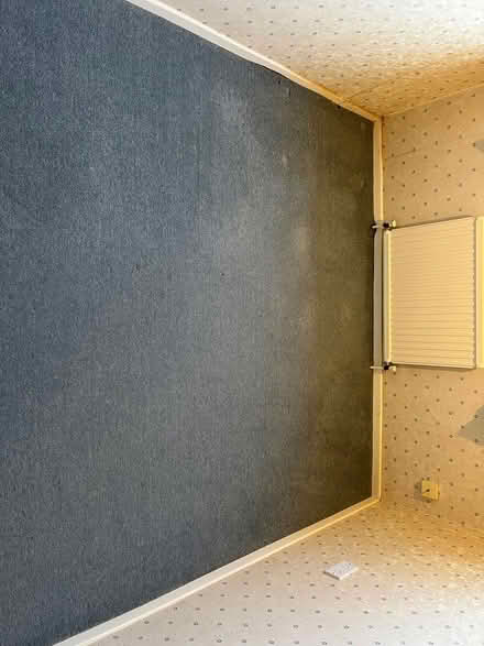 Photo of free Navy blue carpet (Long eaton NG10) #2