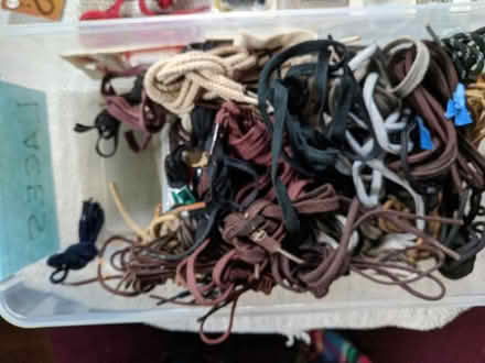 Photo of free shoelaces 16' to 50" (Ann Arbor near Hillside Terr.) #2