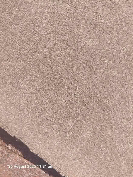 Photo of free Carpet (small bedroom size) - 210 cm x 264 cm (Twyford RG10) #4