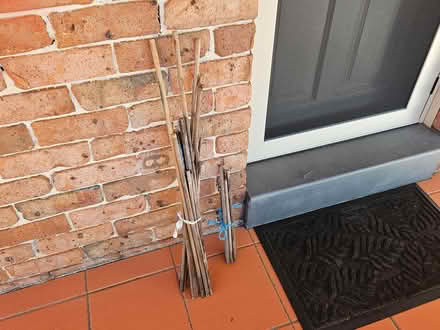 Photo of free Garden Stakes and Broom Handle (Strathfield) #1