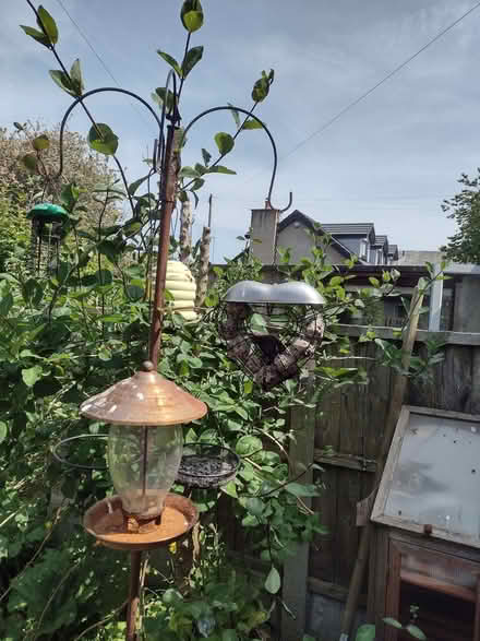 Photo of Bird feeder station (Galgate LA2) #2