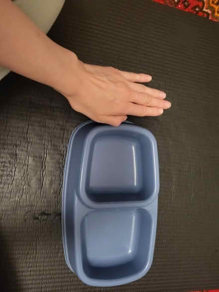 Photo of free Two sided dog bowl (West Croydon CR0) #1