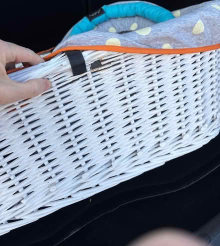 Photo of free Moses basket and stand (Walsall Wood WS9) #3