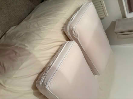 Photo of free 2 M&S Memory Foam Firm Pillows with covers (Saltcotes FY8) #1