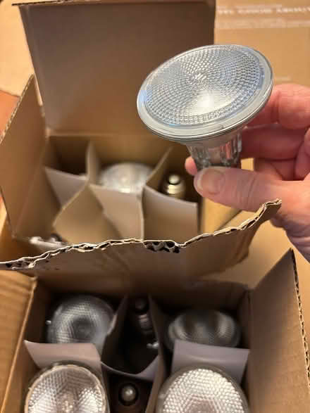 Photo of free Working Halogen Bulbs (Andersonville) #3