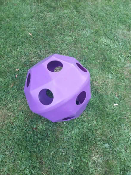 Photo of free Horse toy (Twyford RG10) #1