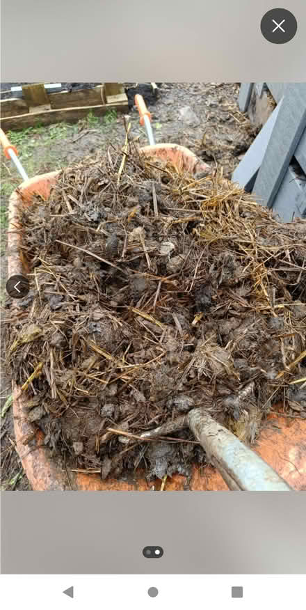 Photo of Manure for veg plot (Kendal LA9) #1