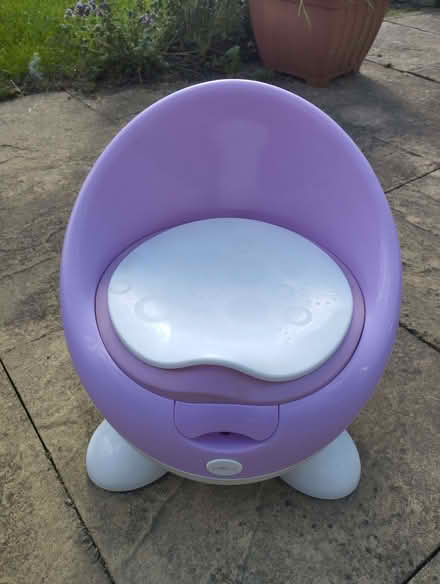 Photo of free Child's potty/seat (Wollaton NG8) #1