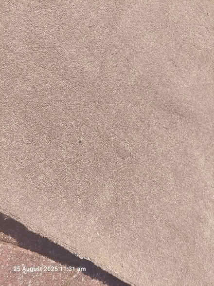 Photo of free Carpet (small bedroom size) - 210 cm x 264 cm (Twyford RG10) #3