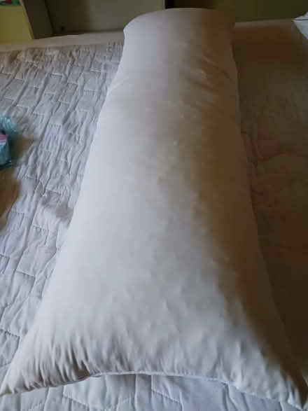 Photo of free full body pillow (60th cedar ave 19143) #1