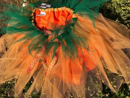 Photo of free Child or Pet Halloween Tutu (Aurora (N Seattle/ Shoreline)) #1