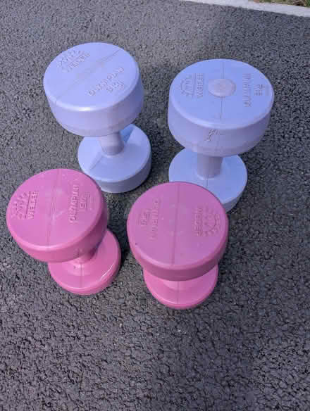 Photo of free Set of dumbbells (Woodford SK7) #1
