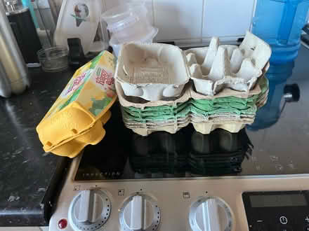 Photo of free Egg boxes and bags for life and the sturdier carrier bags (Hanover BN2) #2