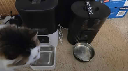 Photo of free Two Automatic Pet Feeders (Fairwood Greens, Renton) #1