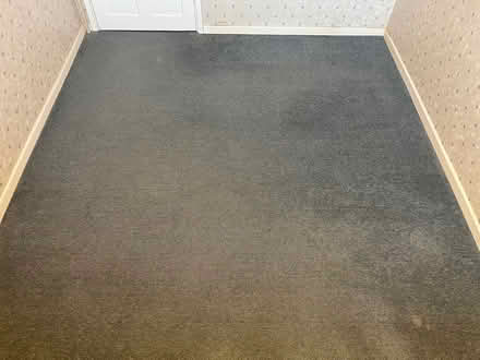 Photo of free Navy blue carpet (Long eaton NG10) #1