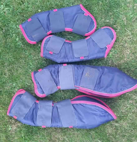 Photo of free Horse travel boots. (Twyford RG10) #1