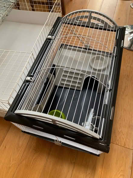 Photo of free Guinea Pig / Small Pet Items (Moorfields) #1