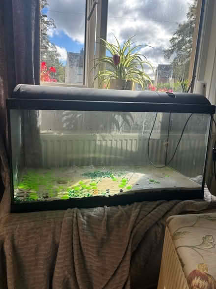 Photo of free Large glass fish tank not water tight (Penrith CA11) #1