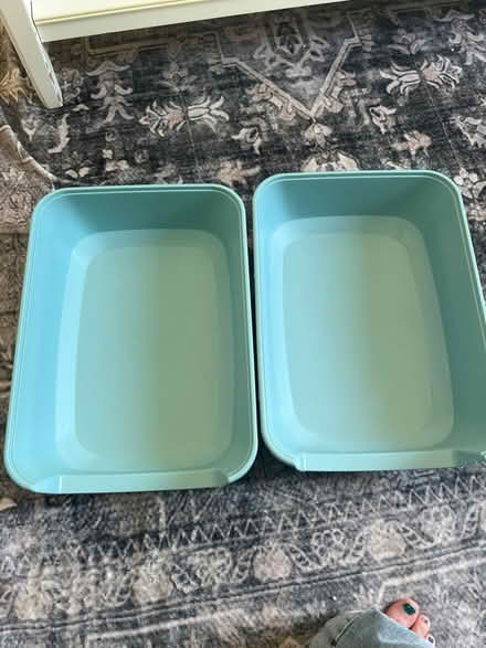 Photo of free Two small litter trays (RG2 Shinfield) #1