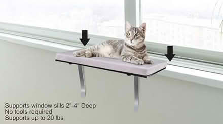 Photo of free Cat Window Shelves (94087) #2