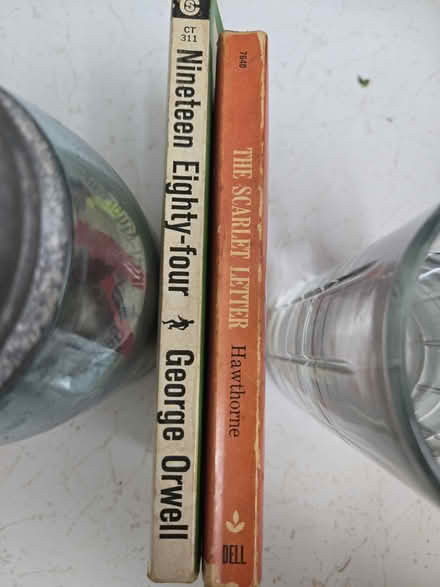 Photo of free Classic literature paperbacks (Clearwater 33763) #3