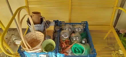 Photo of free garden & house plant stuff (Emsworth PO10) #1