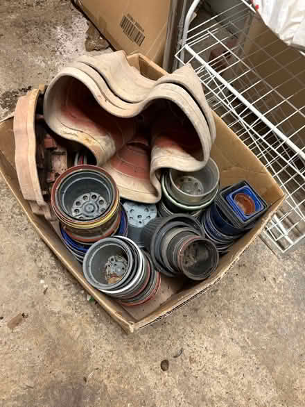 Photo of free Plant pots (TW13) #1
