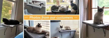 Photo of free Cat Window Shelves (94087) #1