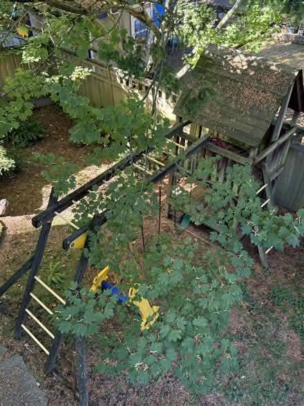 Photo of free Rainbow Playset (Wedgwood, Seattle) #2