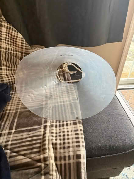 Photo of free Dog cone for large dog (Hyattsville) #2