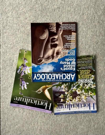 Photo of free American magazines (Bracknell RG12) #1