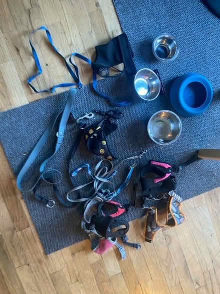 Photo of free Dog harness, leashes, food bowls (98178) #1