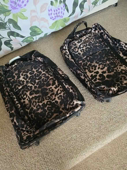 Photo of free 2 Animal Print Small Suitcases (Thorpe Hesley S61) #1