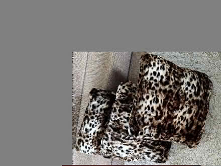 Photo of free 3 Animal Print Fluffy Cushions (Thorpe Hesley S61) #1