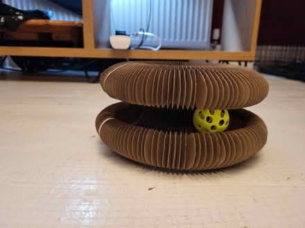 Photo of free Cat toy (West Croydon CR0) #1